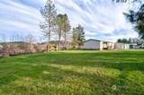1331 Dolan St. Street - Photo 10