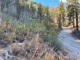 1 C S. Lakeshore Rd. - Photo 3