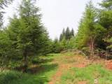 0 Lot D Mill Creek Lane - Photo 8