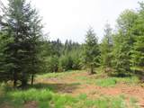 0 Lot D Mill Creek Lane - Photo 10