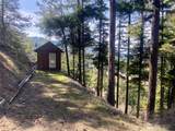 393 Tom & Nita Road - Photo 16