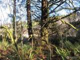 1478 XXX Hoquiam Road - Photo 26