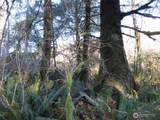 1478 XXX Hoquiam Road - Photo 7