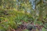 34638 Bridge View Place - Photo 4