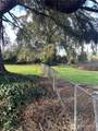 1365 Dolan Street - Photo 20