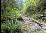 64315 Lookout Mountain Loop - Photo 2