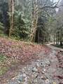 64315 Lookout Mountain Loop - Photo 12