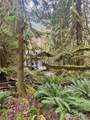 64315 Lookout Mountain Loop - Photo 16
