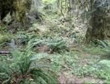 64315 Lookout Mountain Loop - Photo 3