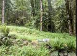 64315 Lookout Mountain Loop - Photo 5