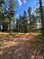17837 Sargent Road - Photo 12