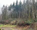 514 Berry Rd - Photo 1