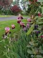 570 Drews Prairie Road - Photo 31