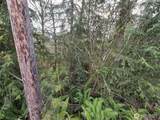 15102 Scott Turner Road - Photo 3