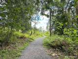 14317 Knoll Park Drive - Photo 33
