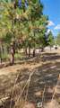 1640 Leo Lane - Photo 12