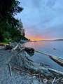 1268 Island Drive - Photo 4