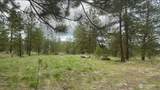 0 Fs 3010 Road - Photo 1