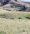 7993 Nahahum Canyon Road - Photo 37