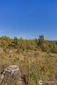31807 122nd Avenue - Photo 16