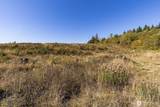 31807 122nd Avenue - Photo 28