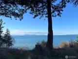 351 Sunset - Photo 16
