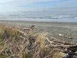 1600 Ocean Avenue - Photo 33