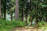 304 Winston Creek Road - Photo 20