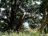 0 Davis Beach Road - Photo 16