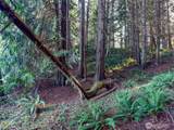 5662 Center Road - Photo 11