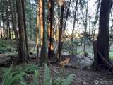 5662 Center Road - Photo 13