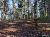 5662 Center Road - Photo 14