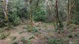 8900 Adams Lane - Photo 3