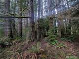 9991 Quillayute Road - Photo 23