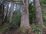 9991 Quillayute Road - Photo 29