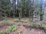 9991 Quillayute Road - Photo 4