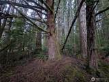 9991 Quillayute Road - Photo 31