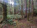 9991 Quillayute Road - Photo 8