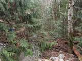 64062 Cascade River Rd - Photo 1