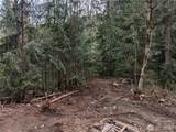 64062 Cascade River Rd - Photo 2