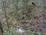 64062 Cascade River Rd - Photo 3