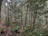 64062 Cascade River Rd - Photo 6