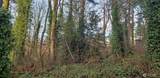 26 XX 308th Street - Photo 12