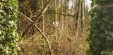26 XX 308th Street - Photo 26
