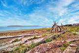 37971 Brant Road - Photo 4
