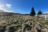 0 NKA Wa Harbor Lp & 336 Bell Bottom Road - Photo 11