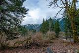 0 Mosquito Lake Road - Photo 4