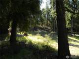 0 Tbd Snowbunny Ridge Drive - Photo 15