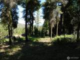 0 Tbd Snowbunny Ridge Drive - Photo 17