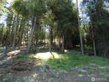 0 Tbd Snowbunny Ridge Drive - Photo 19